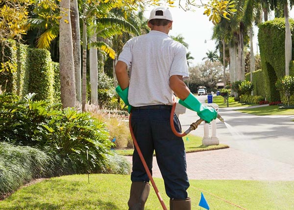 About Waldo KS Pest Control